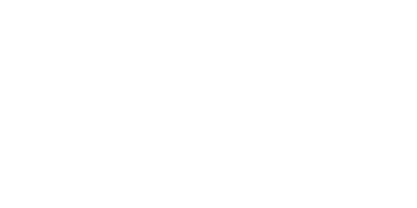 logo juniper partner